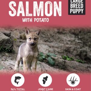 WHITE WOLF NORD SALMON PUPPY LARGE BREED 12 KG
